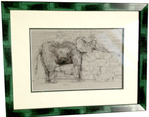 Elephant, a drawing by Charles Johnson