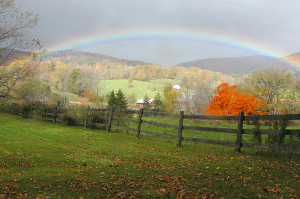 After the Storm, a photograph by Ellie Seif