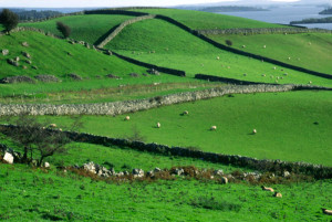 Walls of Ireland, a photograph by Solomon Levy